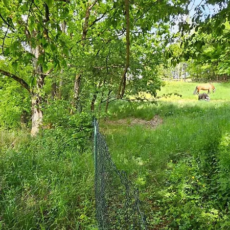 Panoramablick Altfalter * Schwarzach bei Nabburg